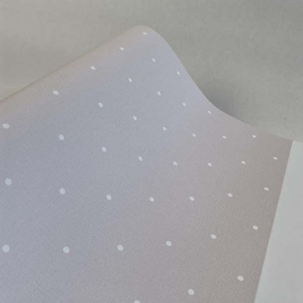 Andrea Rossi Spectrum Box 54454-19