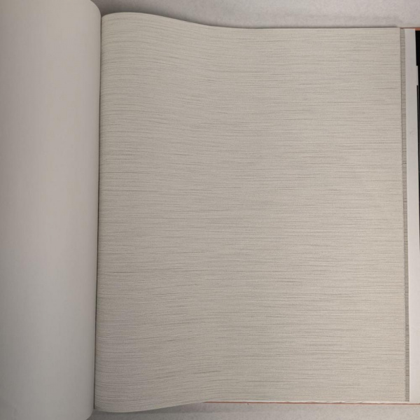 Andrea Rossi Berggi 54438-3