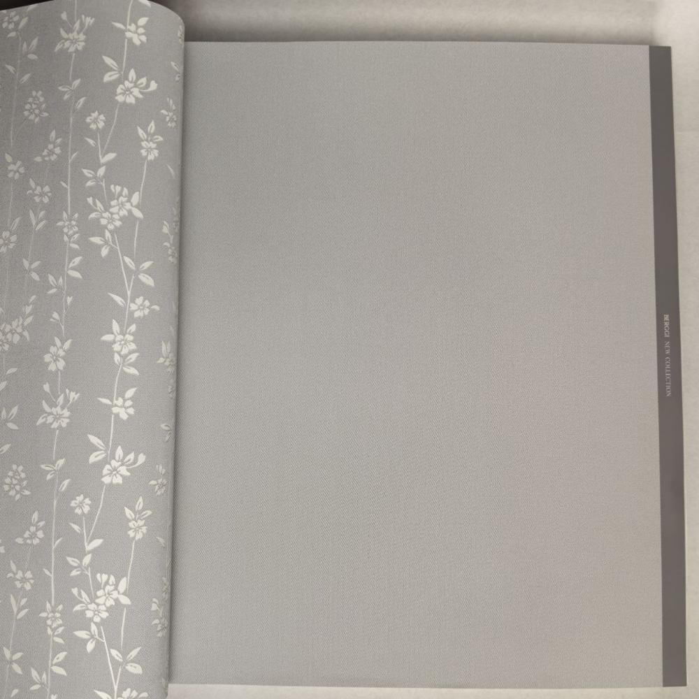 Andrea Rossi Berggi 54450-5