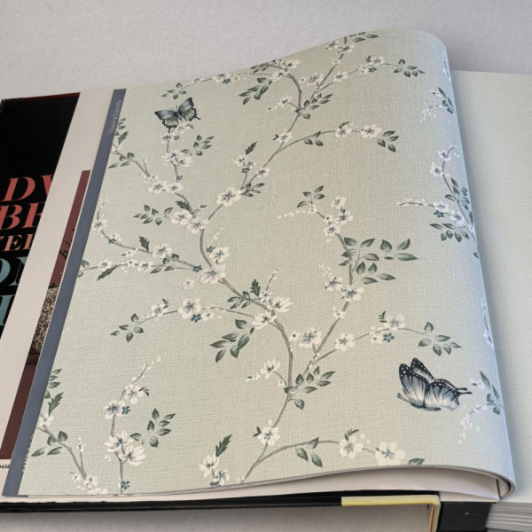 Andrea Rossi Spectrum Box 54460-5