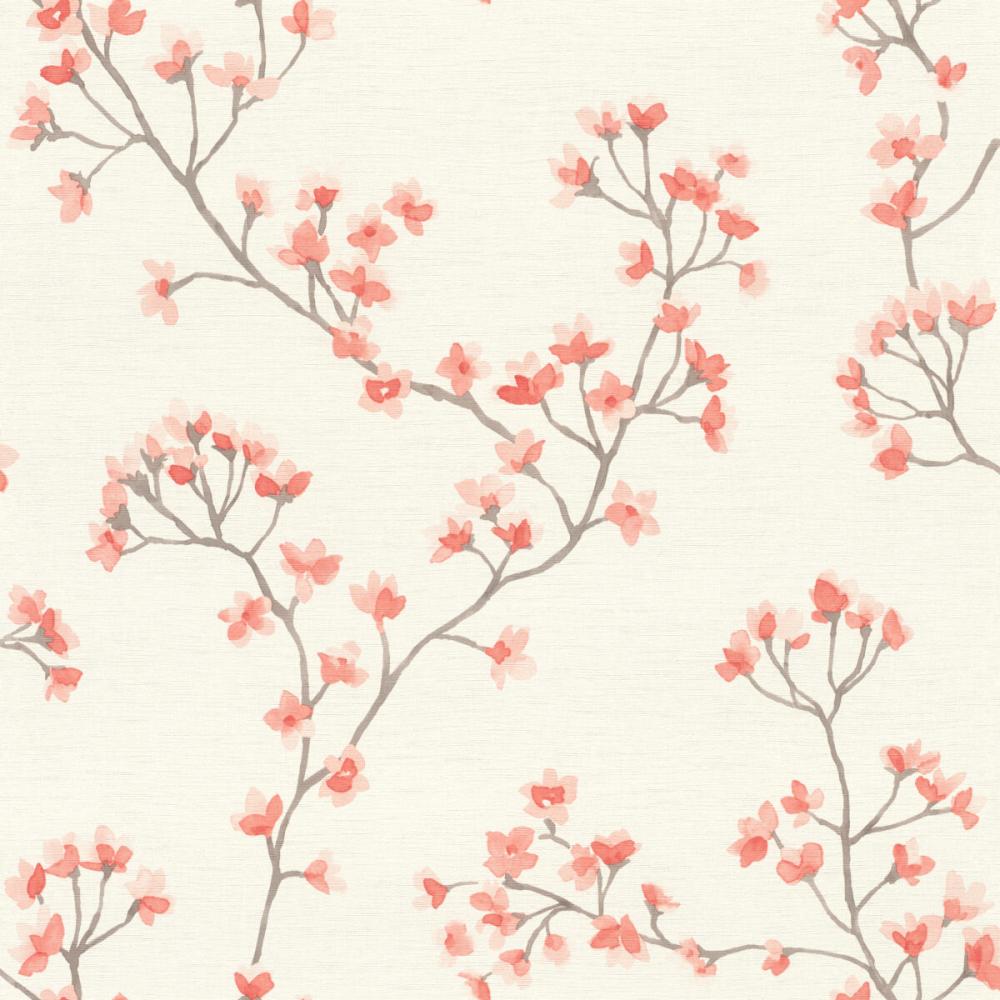 Rasch Beltesto 792720