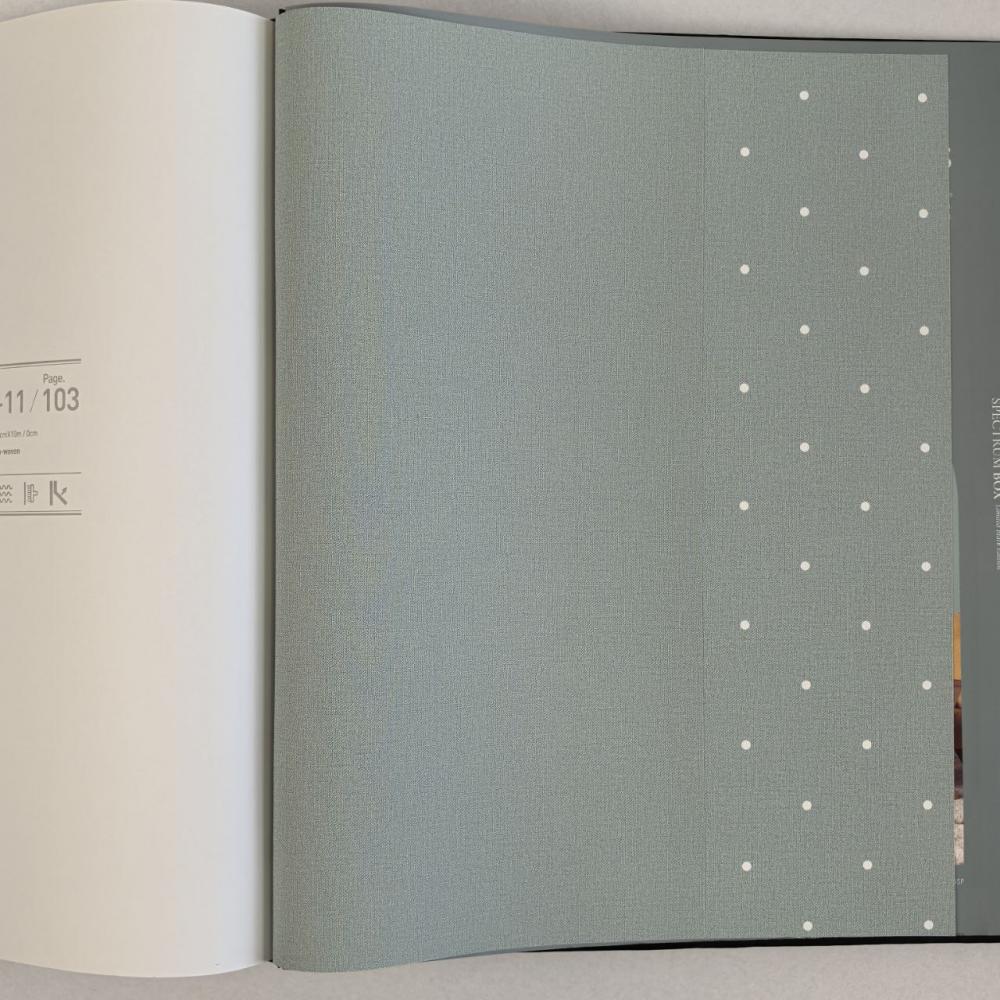 Andrea Rossi Spectrum Box 54455-13 Andrea Rossi Spectrum Box 54455-13