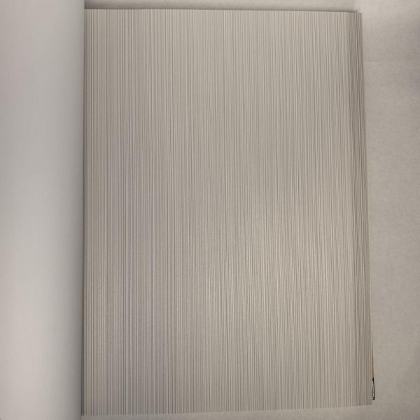 Andrea Rossi Berggi 54447-4