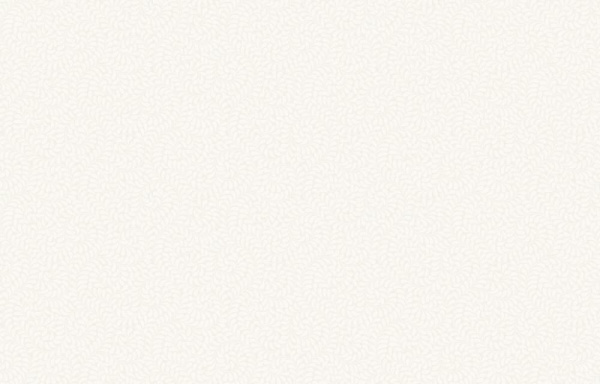 Hygge Made in Russia MIR3 001