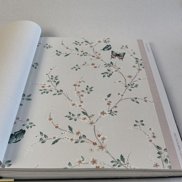 Andrea Rossi Spectrum Box 54460-6 Andrea Rossi Spectrum Box 54460-6