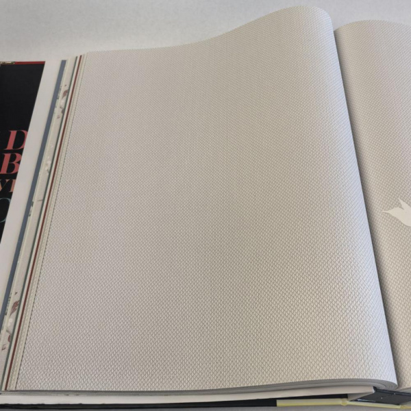 Andrea Rossi Spectrum Box 54457-3 Andrea Rossi Spectrum Box 54457-3