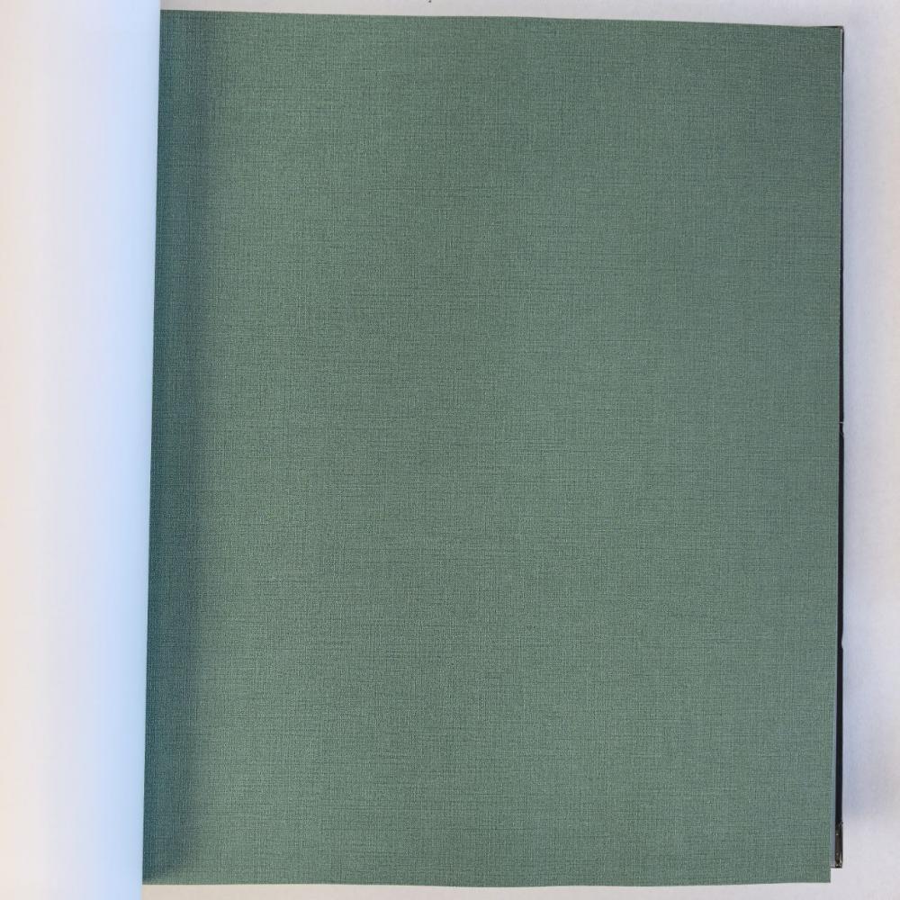 Andrea Rossi Spectrum Box 54459-9