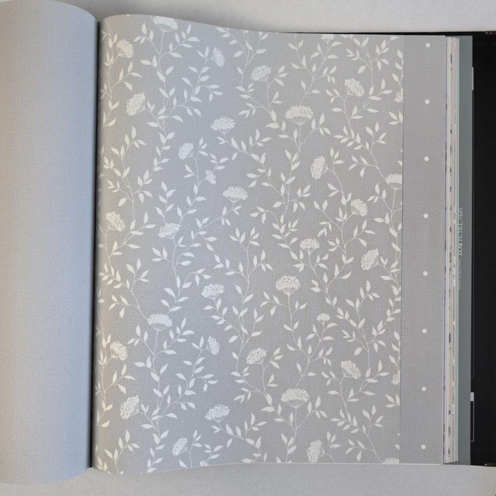 Andrea Rossi Spectrum Box 54456-5