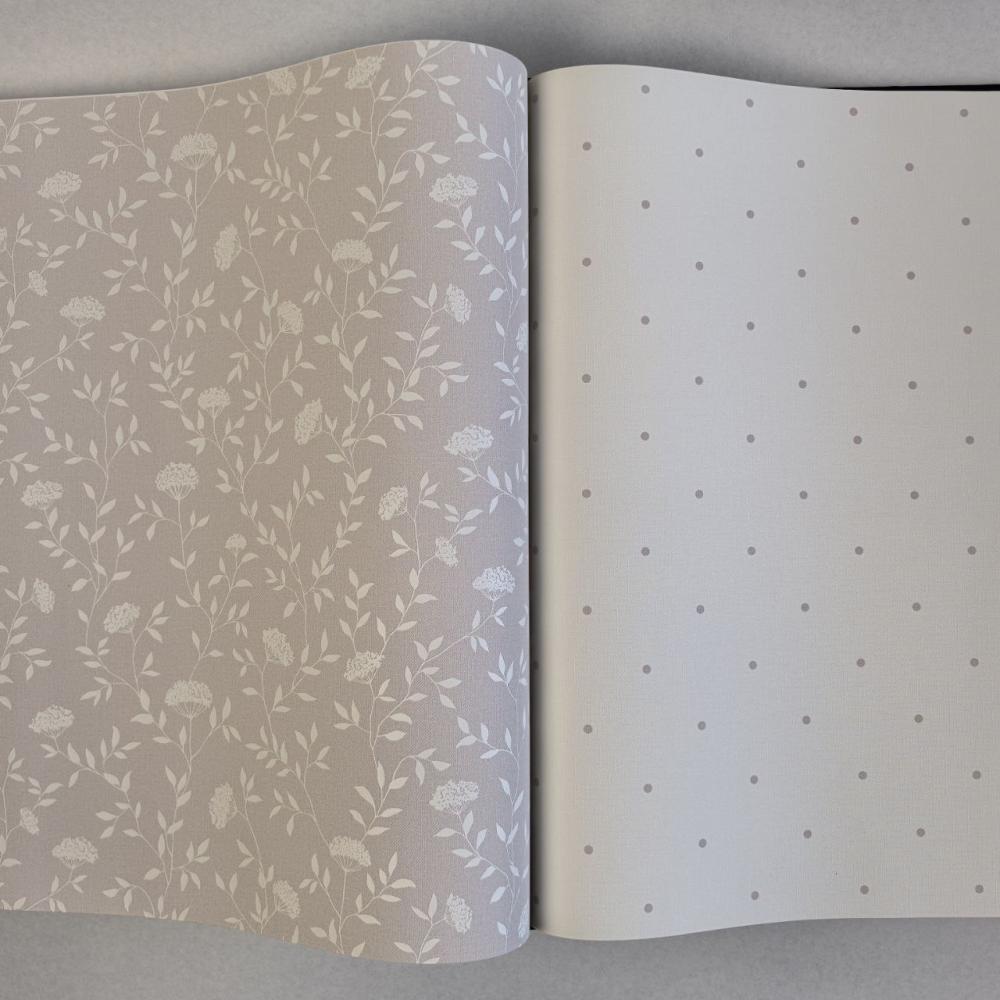 Andrea Rossi Spectrum Box 54456-9