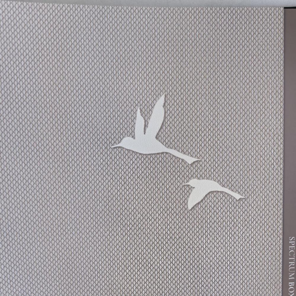 Andrea Rossi Spectrum Box 54458-11