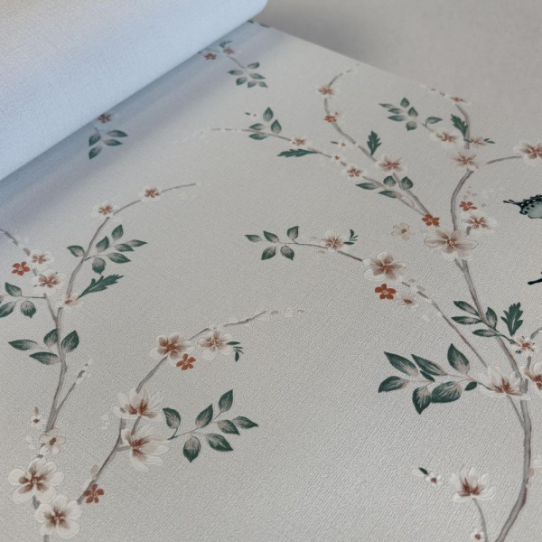 Andrea Rossi Spectrum Box 54460-6 Andrea Rossi Spectrum Box 54460-6