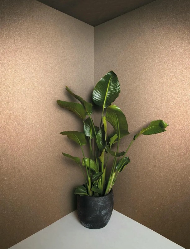 Marburg Eclectic 34949