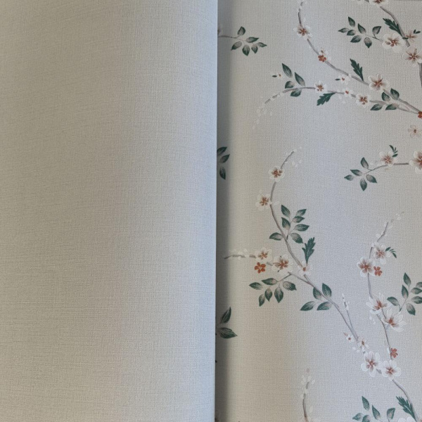 Andrea Rossi Spectrum Box 54459-6